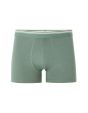 Boxer coton stretch ceinture contrastée - vert