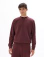 Sweat regular col rond 100% coton - bordeaux