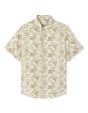 Chemisette regular 100% coton - beige