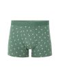 Boxer à motif végétal - vert