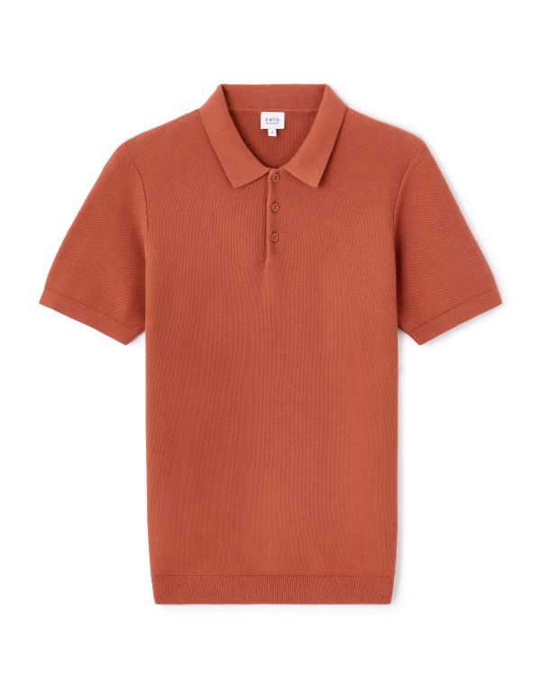Polo regular 100% coton - marron