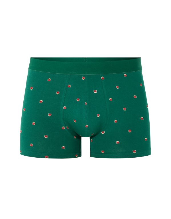 Boxer à motifs coccinelles - vert