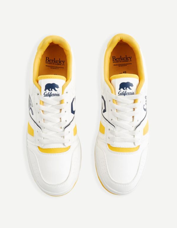 Baskets University of California