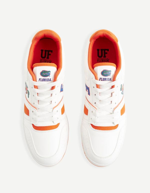 Baskets University of Florida