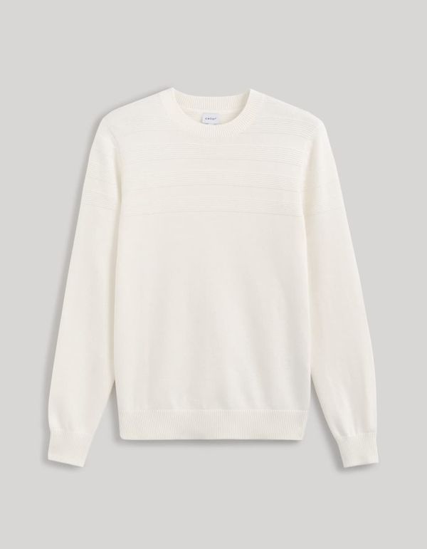 Pull col rond 100% coton