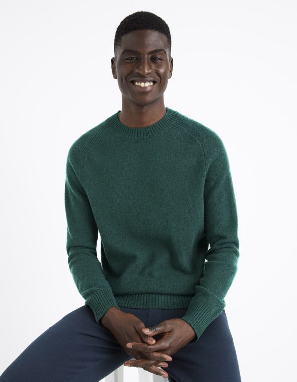 Pull col rond 100% lambswool - vert