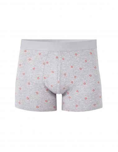 Boxer imprimé - gris chine