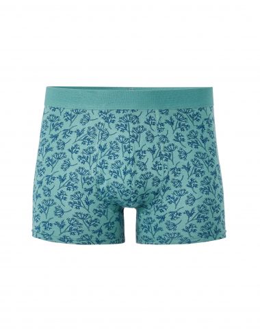 Boxer imprimé feuille - vert