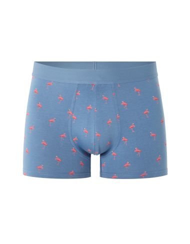 Boxer à motifs flamant rose - bleu