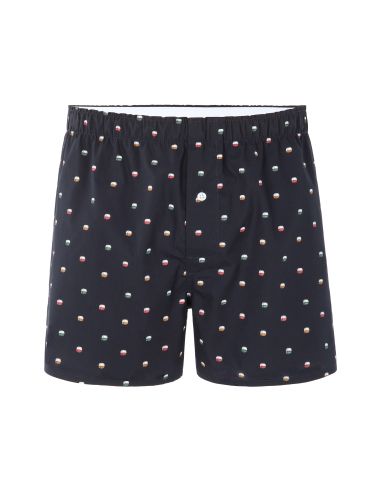 Caleçon 100% coton à motifs téléphérique - bleu