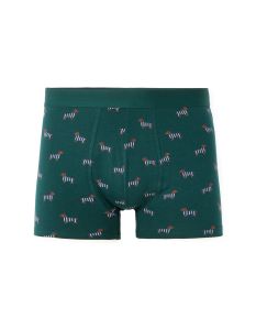 Boxer à motifs teckels - vert