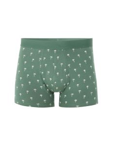 Boxer à motif végétal - vert