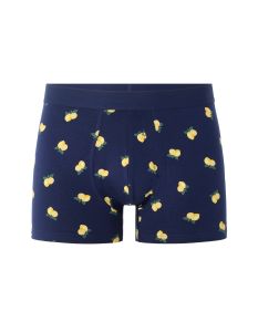 Boxer à motif citron - bleu clair