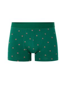 Boxer à motifs coccinelles - vert