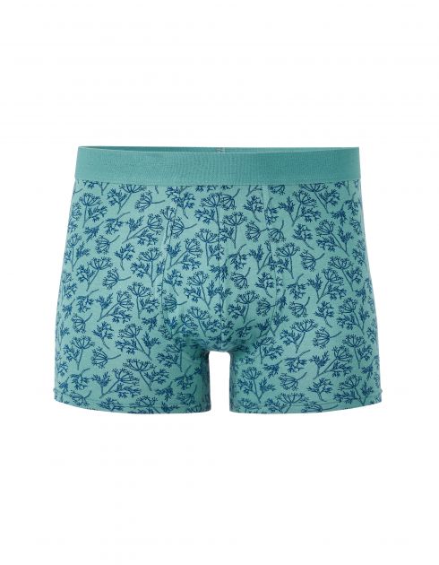 Boxer imprimé feuille - vert
