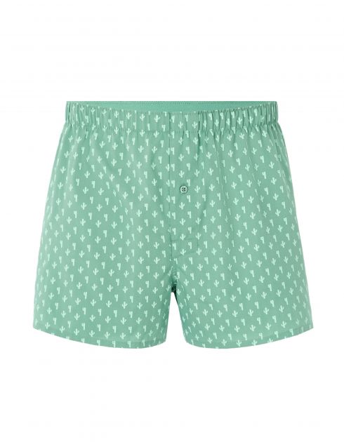 Caleçon 100% coton à motif cactus - vert