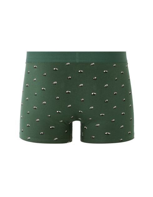 Boxer à motifs panda - kaki