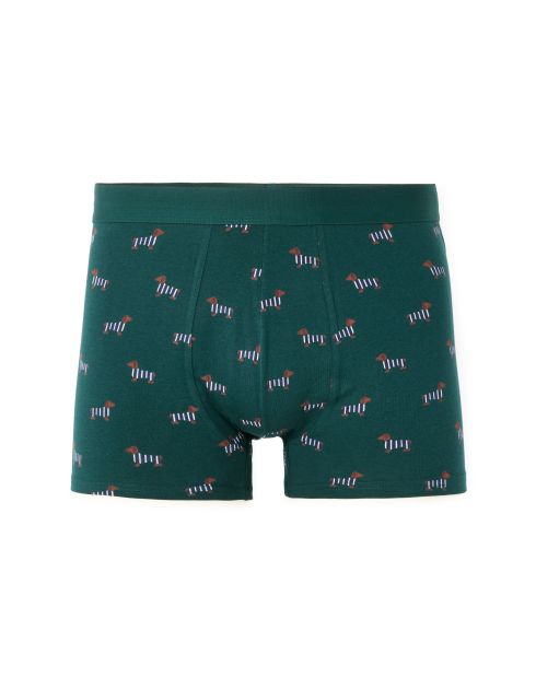 Boxer à motifs teckels - vert