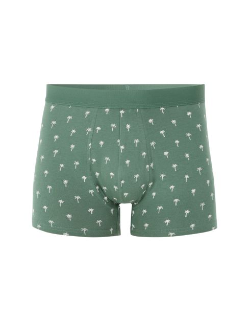 Boxer à motif végétal - vert