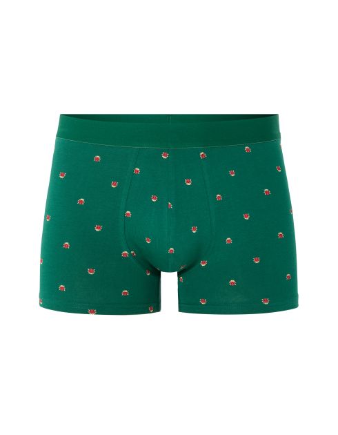 Boxer à motifs coccinelles - vert