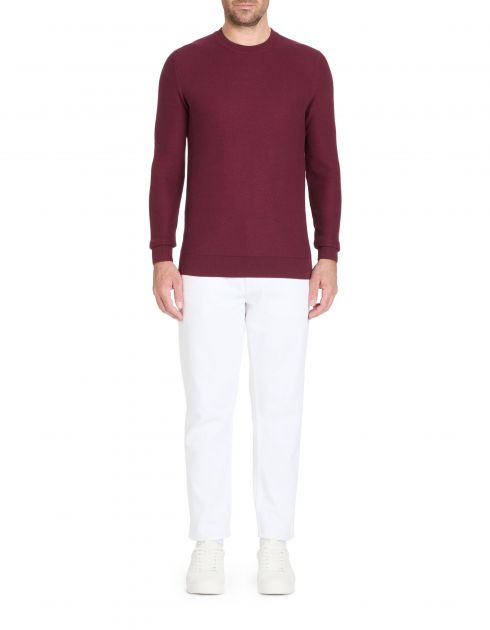 Pull col rond 100% coton - bordeaux